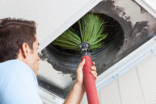 Best Air Duct Mold Removal  in USA